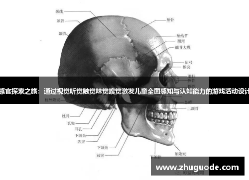 感官探索之旅：通过视觉听觉触觉味觉嗅觉激发儿童全面感知与认知能力的游戏活动设计
