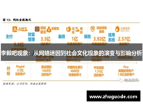 李毅吧现象：从网络迷因到社会文化现象的演变与影响分析