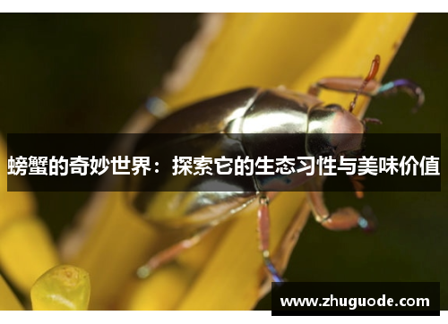 螃蟹的奇妙世界：探索它的生态习性与美味价值