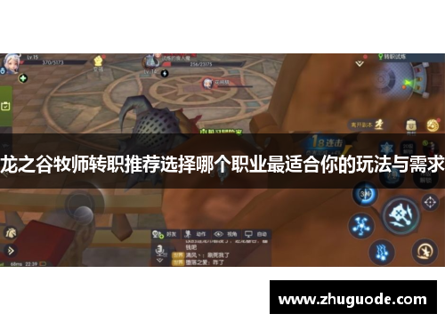 龙之谷牧师转职推荐选择哪个职业最适合你的玩法与需求