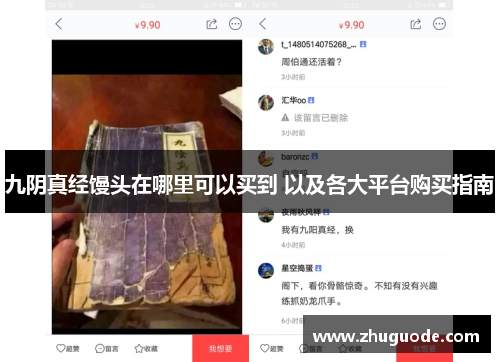九阴真经馒头在哪里可以买到 以及各大平台购买指南